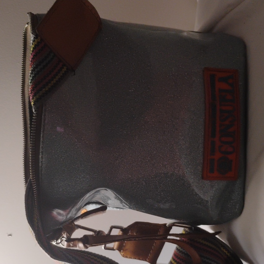 Consuela Glittery Silver Messenger Bag